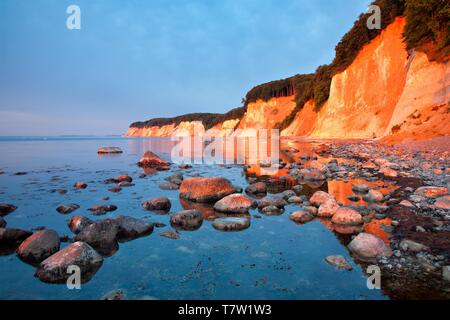 Chalk cliffs presso il Mar Baltico risplendere nella prima luce del mattino, parco nazionale Jasmund, isola di Rügen, Meclemburgo-Pomerania, Germania Foto Stock