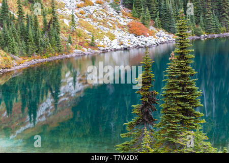 Alberi di pino Stand alto in corrispondenza Eunice lago nel deserto di Washington Foto Stock