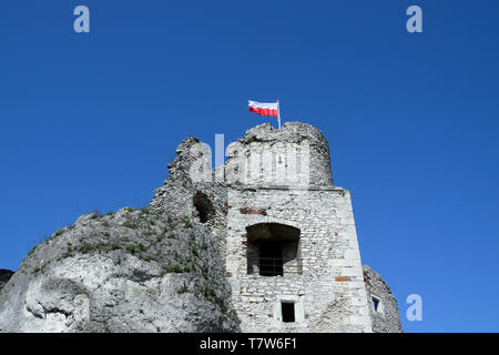 Rovine del Castello di Ogrodzieniec, 'Trail di l'Aquila nidi', Polonia. Foto Stock