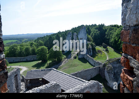 Rovine del Castello di Ogrodzieniec, 'Trail di l'Aquila nidi', Polonia. Foto Stock