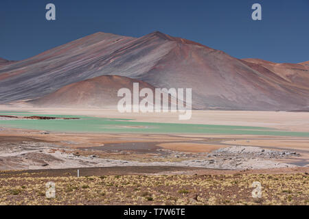Paesaggio surreale al Salar Aguas Calientes, il Deserto di Atacama, Cile Foto Stock