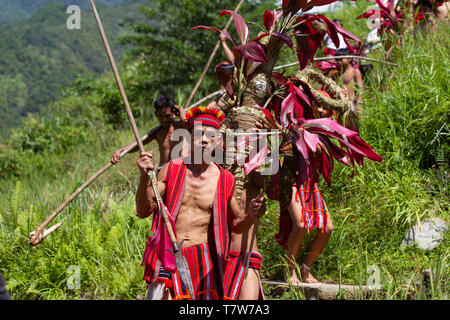 Hapao festival del riso,Banuae,Filippine Foto Stock