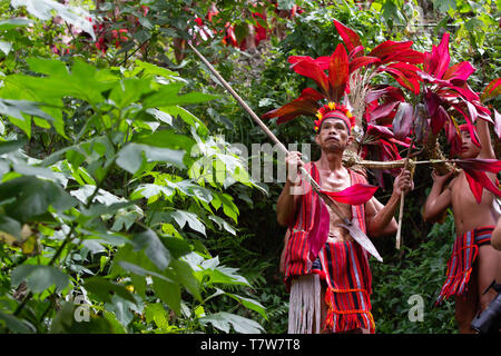 Hapao festival del riso,Banuae,Filippine Foto Stock