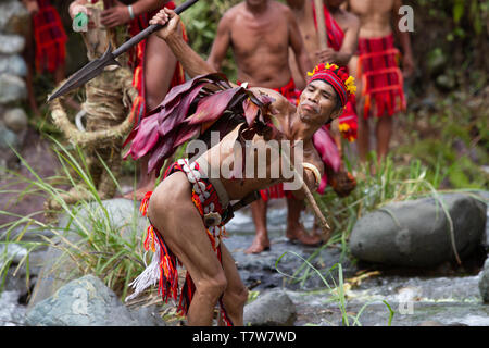 Hapao festival del riso,Banuae,Filippine Foto Stock