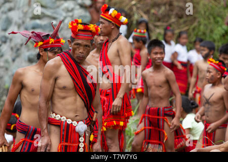 Hapao festival del riso,Banuae,Filippine Foto Stock