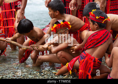 Hapao festival del riso,Banuae,Filippine Foto Stock