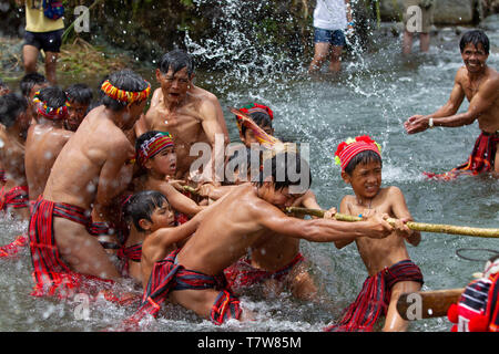 Hapao festival del riso,Banuae,Filippine Foto Stock