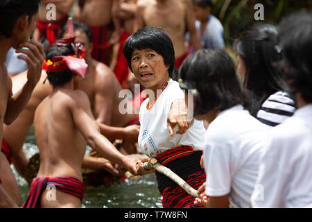 Hapao festival del riso,Banuae,Filippine Foto Stock