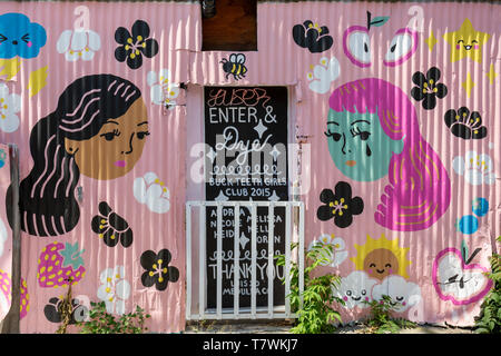 Canada, Provincia di Ontario, città di Toronto, Queen Street West, nuovo quartiere alla moda, Graffiti vicolo e i suoi murales Foto Stock