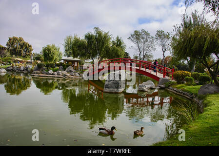 Il Jardin de Corazon giardino giapponese, La Serena, Cile Foto Stock