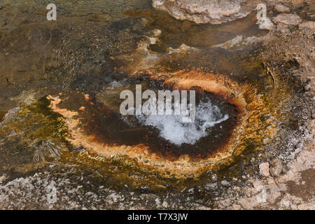 Fumarola bollente sul Rio Blanco river vicino a El Tatio Geyser, San Pedro de Atacama, Cile Foto Stock