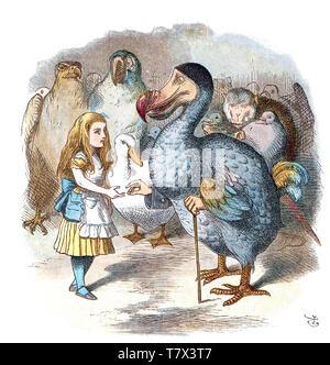 ALICE NEL PAESE DELLE MERAVIGLIE Alice incontra il Dodo in John Tenniel illustrazione dall'originale 1865 edizione di Lewis Carroll libro Foto Stock