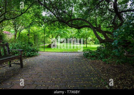 All'interno della Ernest Wilson Memorial Garden, Chipping Campden, Inghilterra Foto Stock