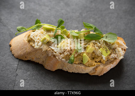 Un sandwich aperto realizzato dal marrone e le carni bianche di un ragno granchio di mare catturati in un calo netto che era stato abbassato off di un molo nel Dorset. La carne di colore marrone h Foto Stock