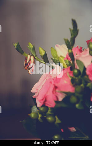 Oro anelli di nozze sono belli appesi ad un ramo Bouquet nozze con rose rosa Foto Stock