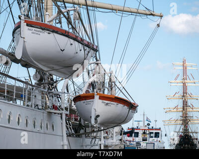 La vita sulle imbarcazioni Dar Pomorza e (in background) Dar Młodzieży TALL SHIPS, Gdynia, Polonia Foto Stock