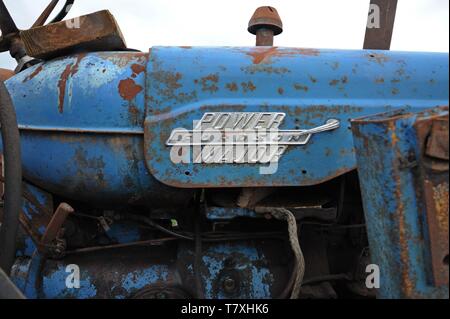 Vintage trattori Fordson in vendita presso un'azienda asta superiore Fattoria Venn, Herefordshire Foto Stock