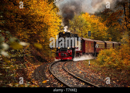 La storica locomotiva a vapore scorre attraverso il colorato della foresta nel Parco Nazionale di Harz Foto Stock