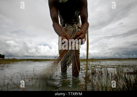 Abdul Majed usato per essere un agricoltore di riso nella provincia di Khulna. Egli rende ora un soggiorno da vivere come un allevatore di gamberi. Con il livello del mare in aumento a causa del riscaldamento globale, vaste aree con le risaie sono ora distrutta dal sale intrusione di acqua. Con le risaie distrutti, Abdul girato lo stesso risoni nell allevamento di gamberetti invece. Egli rende ora più denaro di prima, offrendo 12-15 casse di gamberetti ogni altra settimana. - Questo è stato un bene per la mia economia, egli dice, ma ammette il cambiamento di clima e di intrusione salina lo preoccupa. Secondo la Banca mondiale, costiere Bangladesh può facilmente Foto Stock