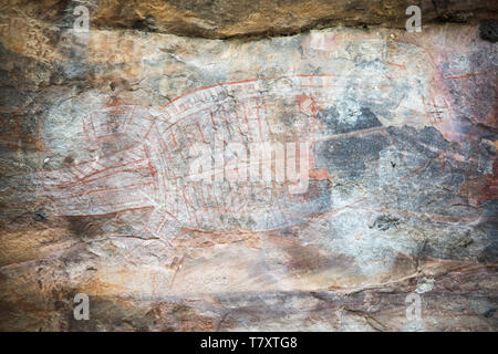Antica arte rupestre sulla pietra naturale rifugi nel Parco Nazionale Kakadu nel Territorio Settentrionale dell'Australia Foto Stock