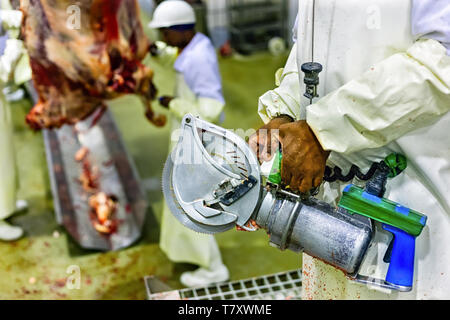 Macelleria africana di trasformazione di materie di carni in una fabbrica Foto Stock
