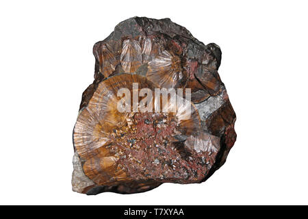 Limonite (idrato di ossido ferrico) Foto Stock