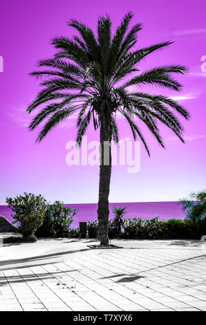 Palm tree silhouette con il rosa del cielo e del mare sullo sfondo. Diversi tipi di carta da parati con colori gradiente evocando estate vibes e vacanze sentimenti. Foto Stock