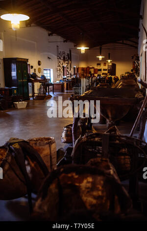 Wine tour guidato con una guida femmina nella Bodega La cantina rurale e museo, Coquimbito, Maipú, Mendoza, Argentina Foto Stock