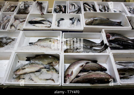 Mercato del Pesce di Billingsgate Foto Stock