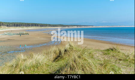 Una vista lungo la spiaggia di Llanddwyn, Newborough, Galles del Nord, Regno Unito. Adottate il 7 aprile 2019. Foto Stock