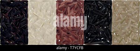 Set di riso, nero, rosso, basmati, marrone, Wild. Illustrazione di vettore isolato su sfondo bianco. Illustrazione Vettoriale