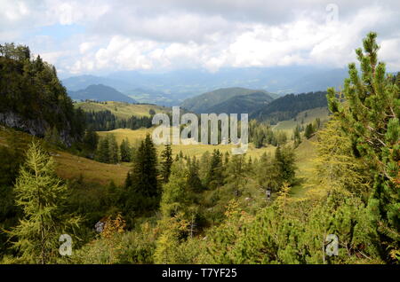 Paesaggio vicino al lago di Gosau nella regione di Salzkammergut in Austria Foto Stock