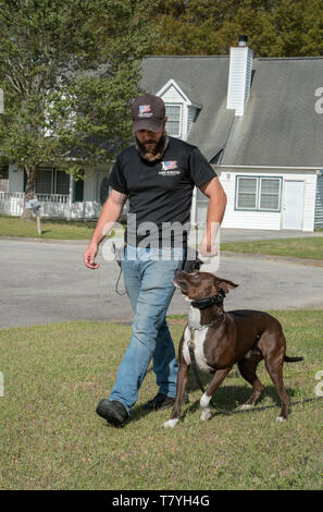 Rivoluzione canina dog trainer lavora con un cane. Summerville, Carolina del Sud. Foto Stock