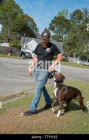 Rivoluzione canina dog trainer lavora con un cane. Summerville, Carolina del Sud. Foto Stock
