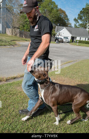Rivoluzione canina dog trainer lavora con un cane. Summerville, Carolina del Sud. Foto Stock