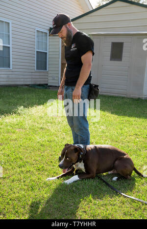 Rivoluzione canina dog trainer lavora con un cane. Summerville, Carolina del Sud. Foto Stock