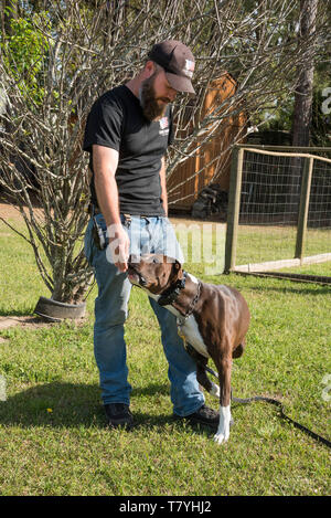 Rivoluzione canina dog trainer lavora con un cane. Summerville, Carolina del Sud. Foto Stock