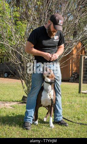 Rivoluzione canina dog trainer lavora con un cane. Summerville, Carolina del Sud. Foto Stock