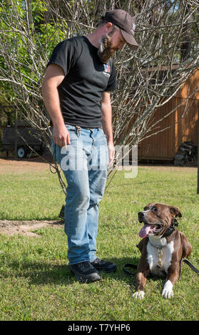 Rivoluzione canina dog trainer lavora con un cane. Summerville, Carolina del Sud. Foto Stock