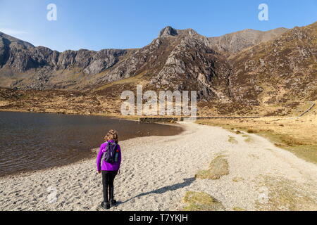 Un giovane escursionista sorge accanto alla Llyn Idwal guardando verso il vertice di Y Garn e del diavolo la cucina sulla Glyderau mountain range, Snowdonia Nationa Foto Stock