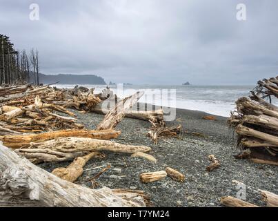 Stati Uniti, Washington, il Parco Nazionale di Olympic, Riva del pacifico Foto Stock