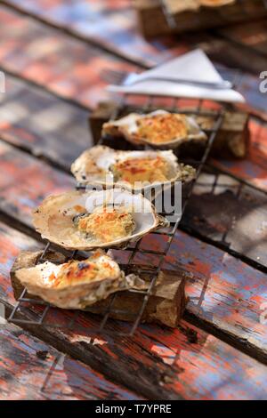 Francia, Herault, Bouzigues, il cerchio di ostriche, oyster farmer e ristoratore Foto Stock