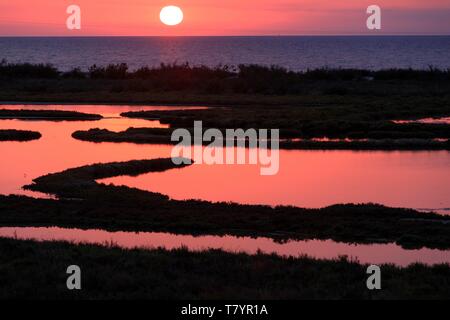 Francia, Herault, Vic La Gardiole, Les Aresquiers Foto Stock