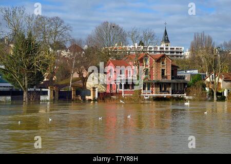 Francia, Val de Marne, Le Perreux sur Marne, Marne riverside allagato Foto Stock