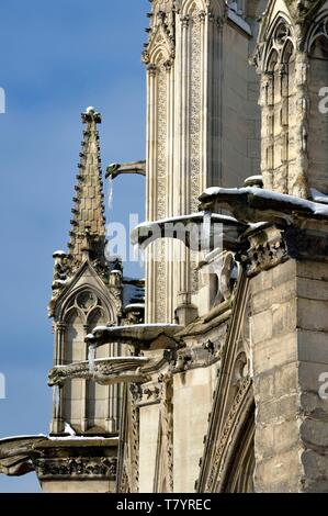 Francia, Parigi, zona elencata come patrimonio mondiale dall' UNESCO, le rive della Senna, classificata patrimonio mondiale dall'UNESCO, la cattedrale di Notre Dame sotto la neve sulla Ile de la Cité, doccioni Foto Stock