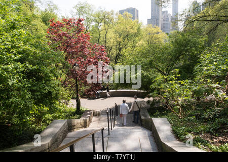 Il Central Park di New York City è popolare in primavera, STATI UNITI D'AMERICA Foto Stock