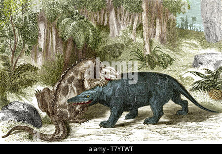 Iguanodon mordere Megalosaurus Foto Stock