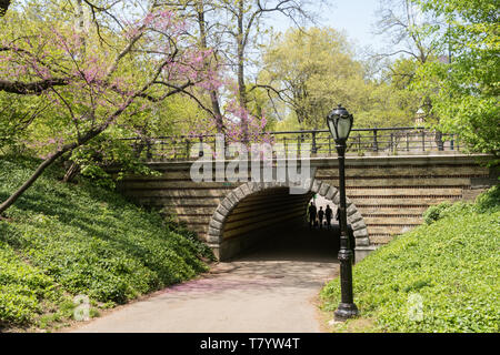 Il Central Park di New York City è popolare in primavera, STATI UNITI D'AMERICA Foto Stock