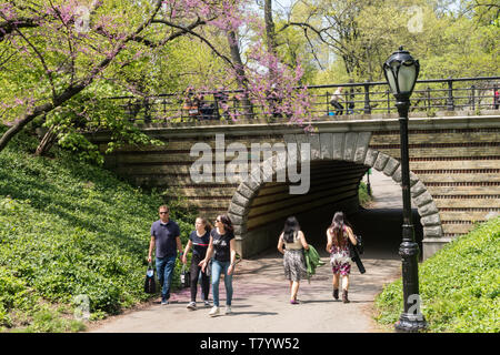 Il Central Park di New York City è popolare in primavera, STATI UNITI D'AMERICA Foto Stock