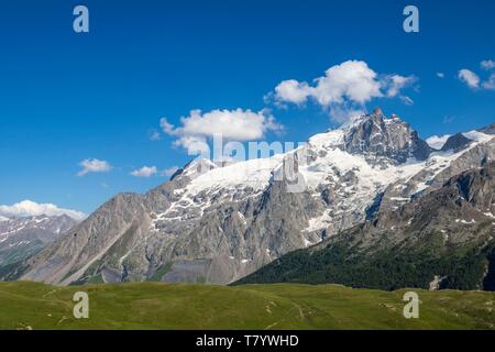 Francia, Hautes Alpes, Parco Nazionale degli Ecrins, la Meije visto dall'Emparis plateau Foto Stock